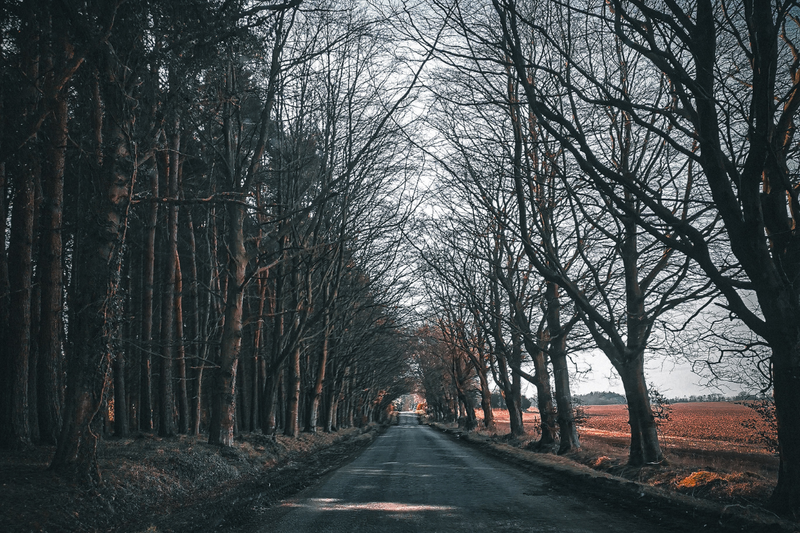 10 of the UK’s creepiest roads