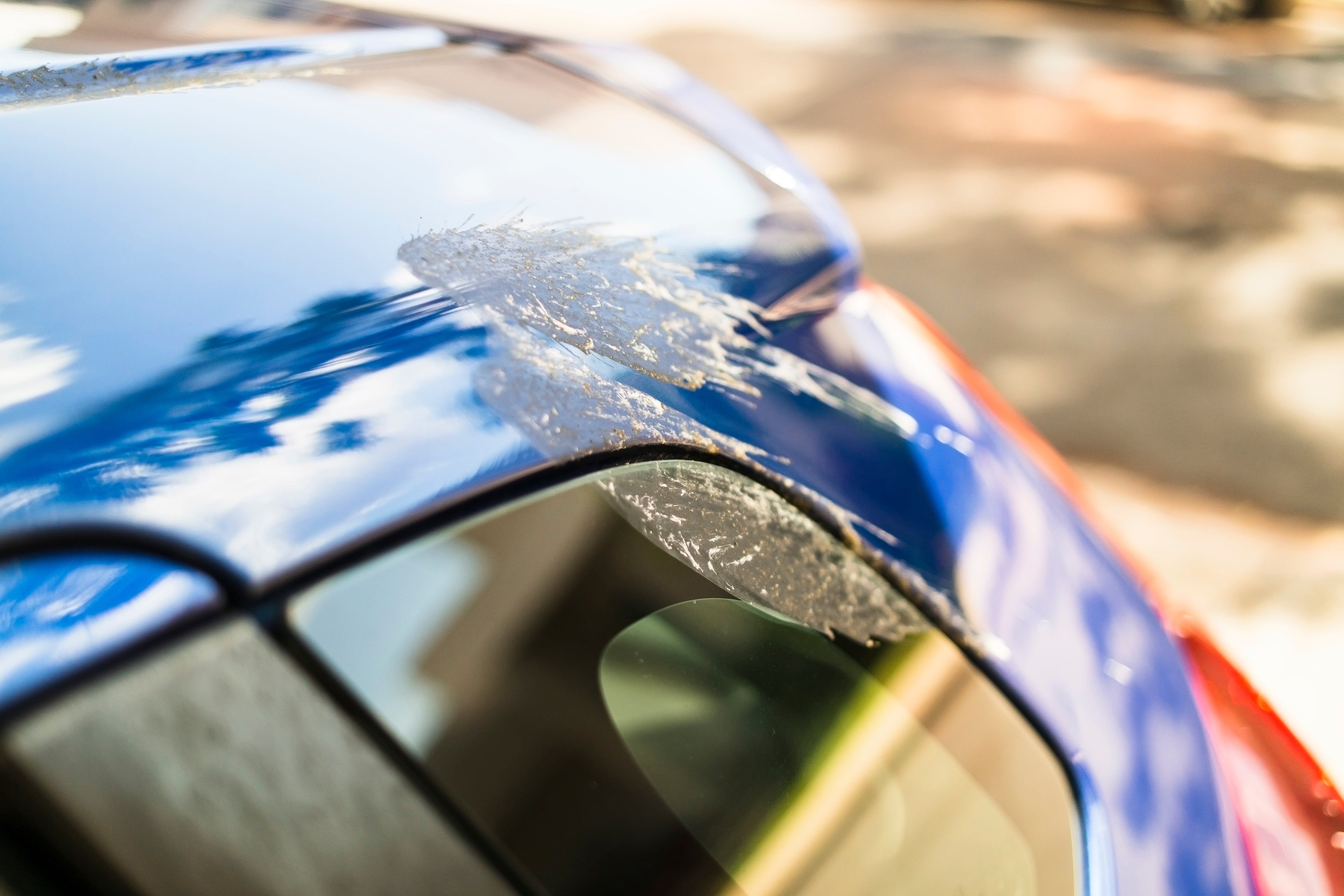 How to clean bugs and bird poo off your car