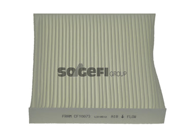 Fram Cabin / Pollen Filter - CF10073