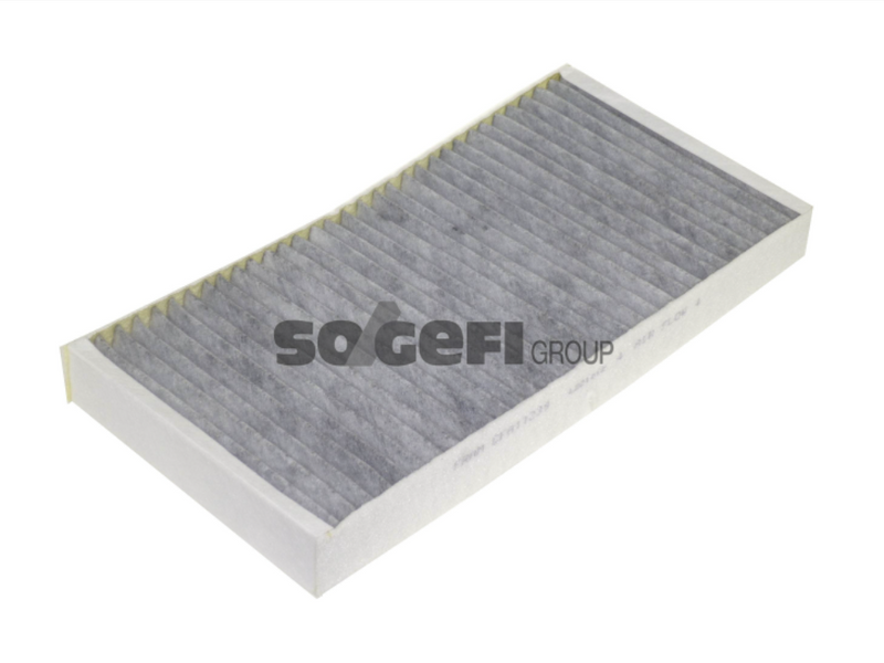 Fram Cabin / Pollen Filter - CFA11239