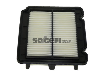 Fram Air Filter - CA9902