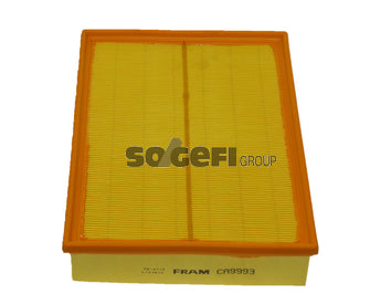 Fram Air Filter - CA9993