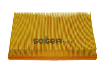 Fram Air Filter - CA9073