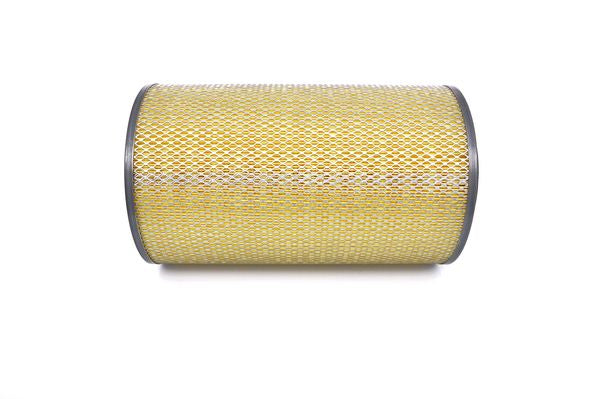 Bosch Air Filter - 1457429966