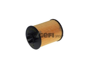 Fram Oil Filter - CH5958ECO