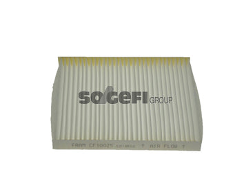 Fram Cabin / Pollen Filter - CF10025