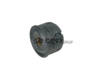 Fram Fuel Filter - P10291