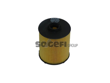 Fram Fuel Filter - C8981ECO