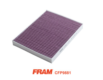 Fram Cabin / Pollen Filter - CFP9881