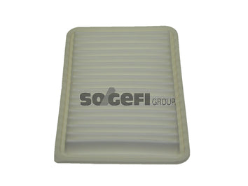 Fram Air Filter - CA9894