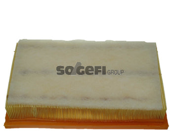 Fram Air Filter - CA9022