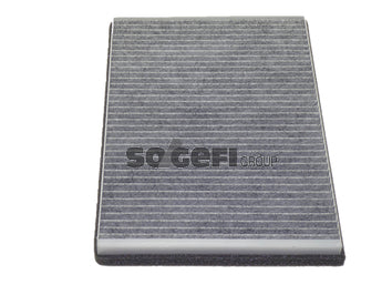 Fram Cabin / Pollen Filter - CFA10436