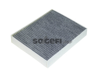 Fram Cabin / Pollen Filter - CFA11472