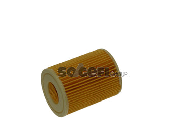 Fram Oil Filter - CH10876ECO