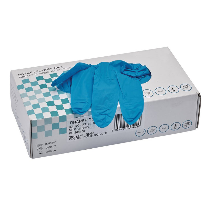 Nitrile Gloves, Large, Blue (Pack of 100)