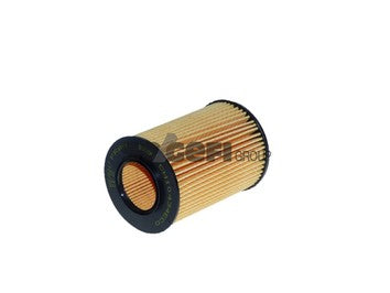 Fram Oil Filter - CH10434ECO