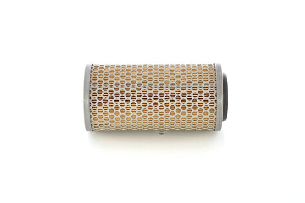 Bosch Air Filter - 1457429838