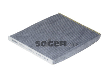 Fram Cabin / Pollen Filter - CFA10365