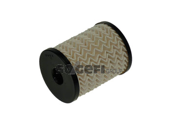 Fram Fuel Filter - C10039ECO