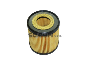 Fram Oil Filter - CH9382ECO