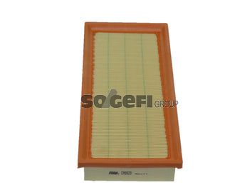 Fram Air Filter - CA9923