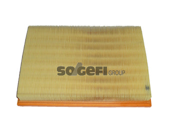 Fram Air Filter - CA9391