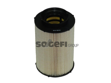 Fram Fuel Filter - C9766ECO