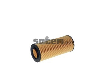 Fram Oil Filter - CH9994ECO