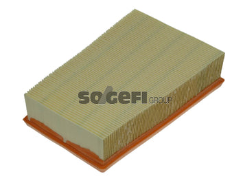 Fram Air Filter - CA10654