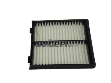 Fram Cabin / Pollen Filter - CF9336