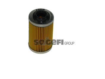 Fram Oil Filter - CH8765ECO