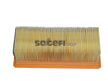 Fram Air Filter - CA9411