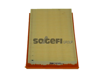 Fram Air Filter - CA4309