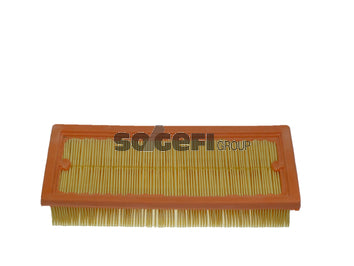 Fram Air Filter - CA9629