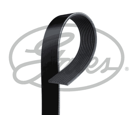 Gates FleetRunner Micro-V Belt - 10PK1570HD