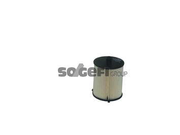 Fram Fuel Filter - C11487