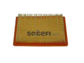 Fram Air Filter - CA5619