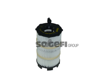 Fram Oil Filter - CH11079ECO