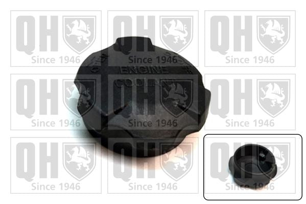 QH Plastic Bayonet Filler Expansion Tank Cap - FC545