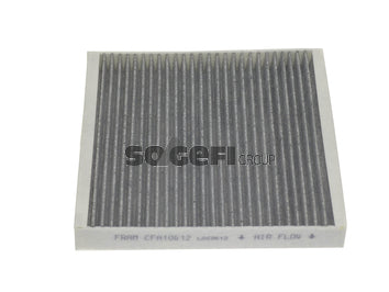 Fram Cabin / Pollen Filter - CFA10612