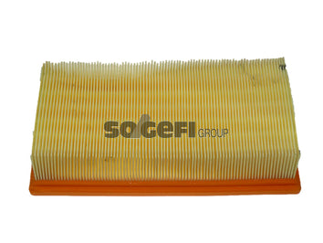 Fram Air Filter - CA9513