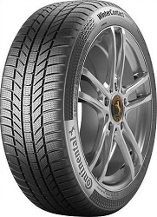 Continental 195 55 16 91H Winter Contact TS870 tyre