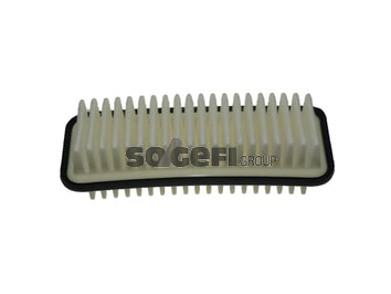 Fram Air Filter - CA9812