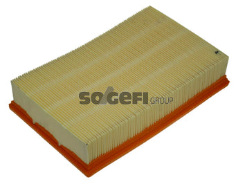 Fram Air Filter - CA8919