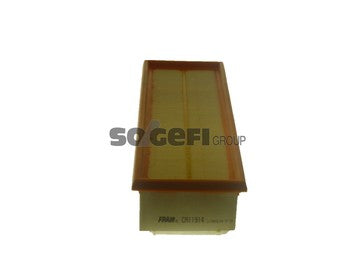 Fram Air Filter - CA11914